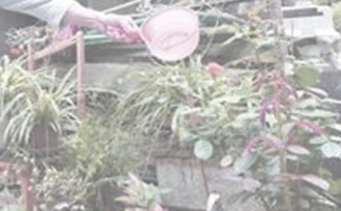 �P(gu��n)�����꼉(j��)��������8ƪ