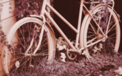 生活腳踏車