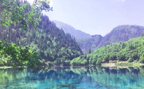 �K�̰����ϵ�10�n����կ�ϡ��̌W(xu��)Ƭ��