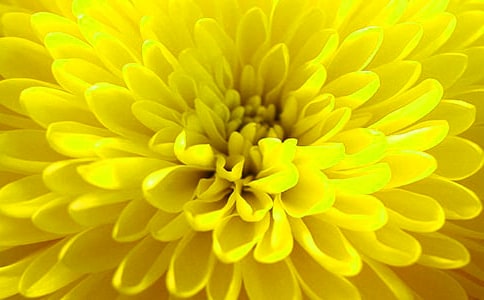 �ɐ۾ջ����P�����E�D��