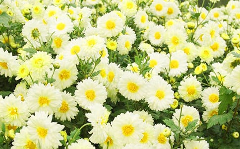 �P(gu��n)�ھջ����i�Z�R��