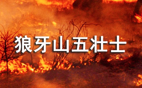 ����(j��ng)�䡿�x������ɽ���ʿ���и�