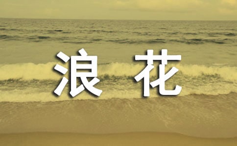 �˻������