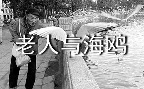 語文上冊《老人與海鷗》教學(xué)反思