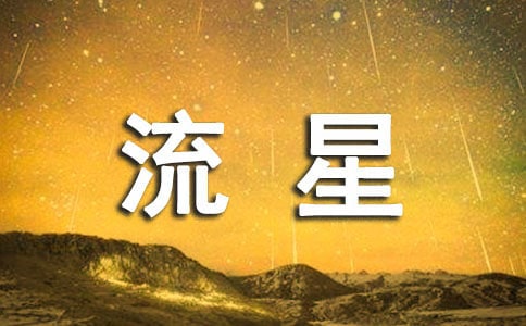 流星初一作文