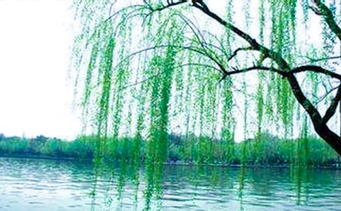 [�ϼ�]�茑����Ĺ�Ԋ10ƪ