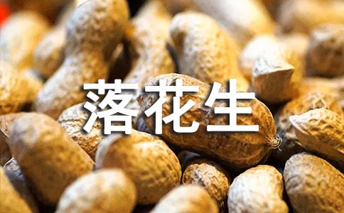 語文落花生課文原文