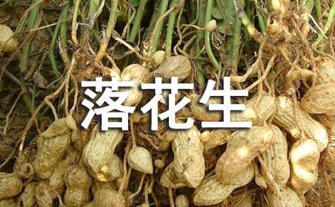 ���仨�����̌W�OӋ��(y��u)��