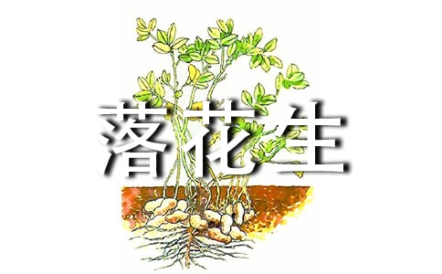 �仨���x���
