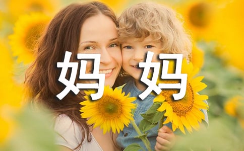 �������꼉(j��)����[��ȫ8ƪ]