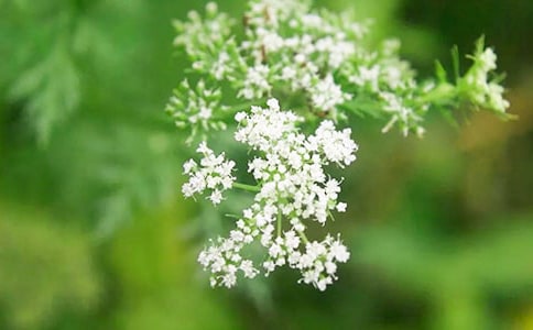 �M����