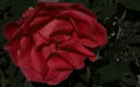 �cõ�����������