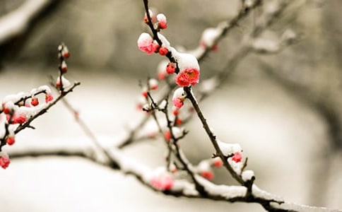 �P(gu��n)�ڌ�÷���ı������ӣ�ͨ��60�䣩