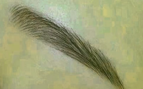 �۾��cüë�Ĺ���
