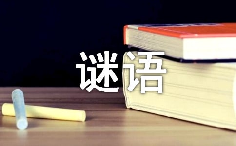 ���i�Z(y��)С��(d��ng)��