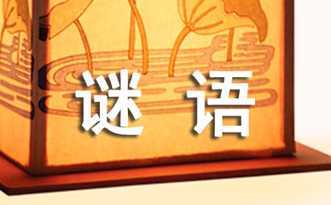 動物謎語與答案