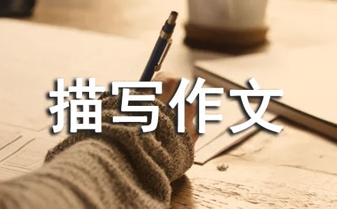 �P�ڳ��������茑����9ƪ