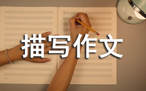 ���P(gu��n)���µĽ^���茑�����ز�