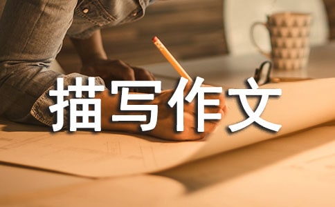 ���x���������茑������ƪ