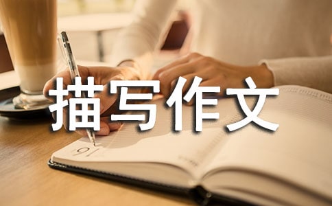 �����茑���ķ���