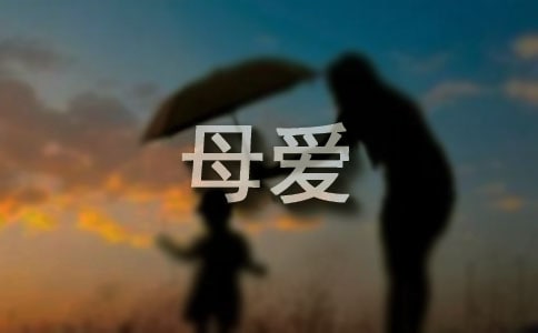 �P(gu��n)��ĸ�۵����g�V�Z