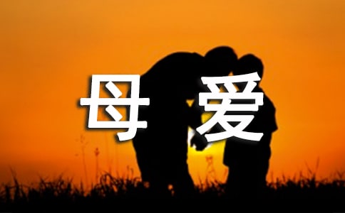 �P(gu��n)��ĸ�۵��زĴ�ȫ