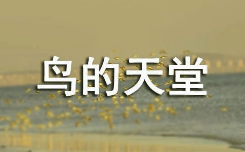 �B�������n��