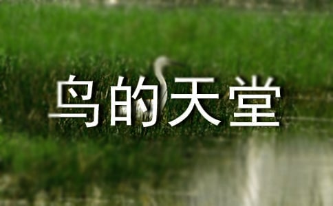 ���B(ni��o)�����á��n��ԭ��
