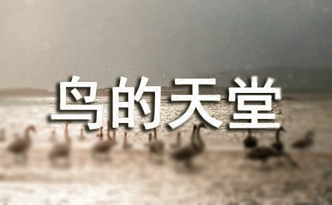 �B����������