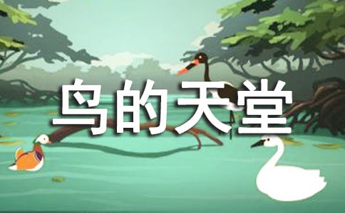 小學(xué)四年級(jí)語(yǔ)文教案:鳥(niǎo)的天堂