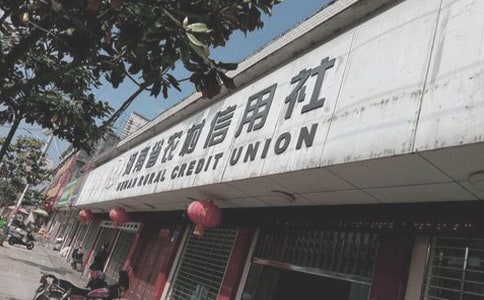 農(nóng)村信用社春訓(xùn)活動學(xué)習(xí)心得體會范文