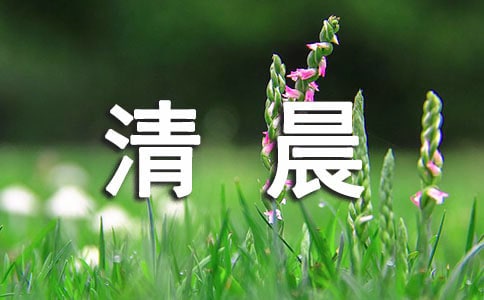 清晨一景