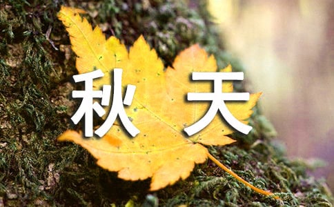 ������V�Z��ͨ��620�䣩