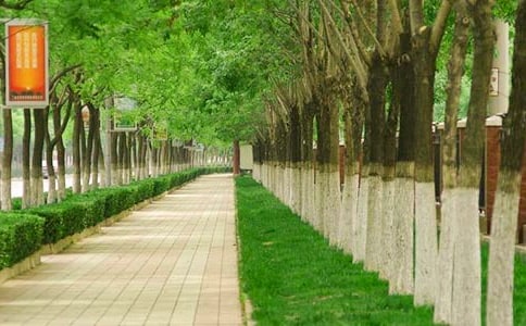 夢(mèng)見人行道是什么原因
