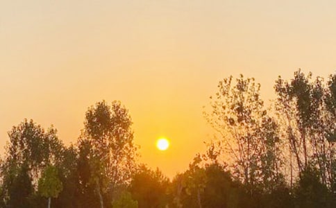 �ճ�