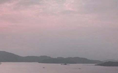 [�]]������̶���̌W�OӋ