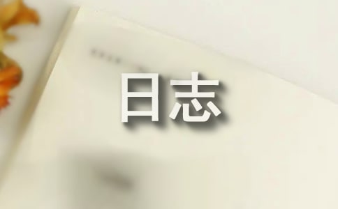 ��ɫ������־
