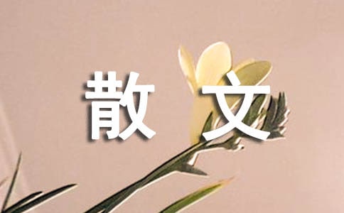 �i�i֮��ɢ��