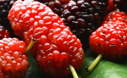 ժɣ������(���x15ƪ)