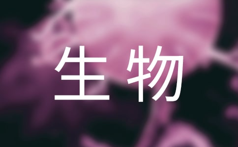 ��������̌W(xu��)�Ĺ���Ӌ(j��)��