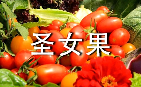 圣女果