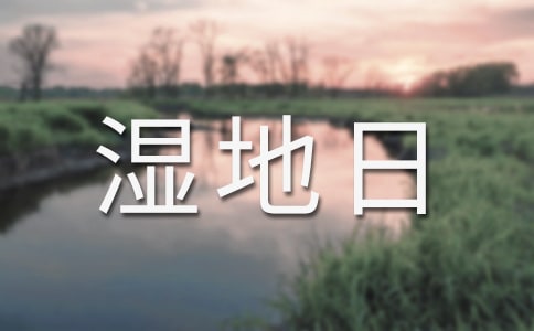 �������ջ��(d��ng)�Ŀ��Y(ji��)