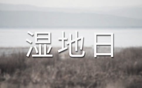 世界濕地日手抄報(bào)簡單