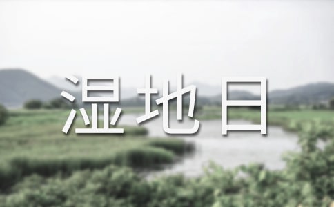 世界濕地日宣傳活動(dòng)總結(jié)參考范文