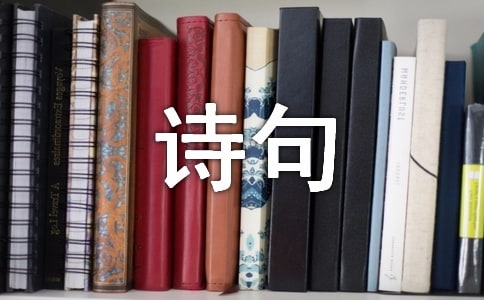 �茑������Ԋ�䡾�᡿