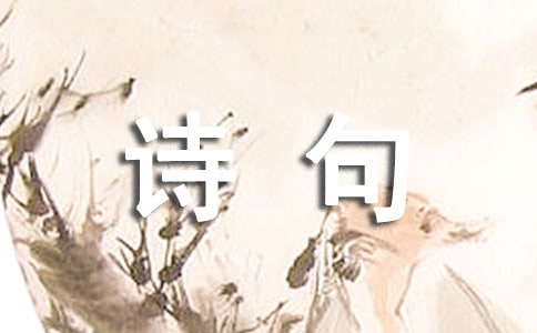 �����_(k��i)�^��Ԋ(sh��)��