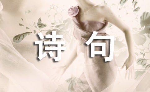 �茑����Ԋ�������ز�210��