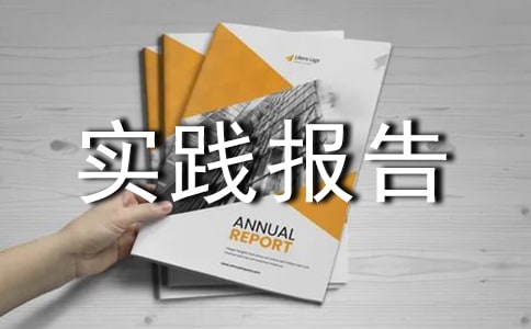 2017社會(huì)實(shí)踐報(bào)告評(píng)語(yǔ)