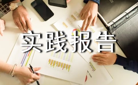 社會實踐報告黨的評語