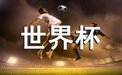 2018年中國世界杯決賽
